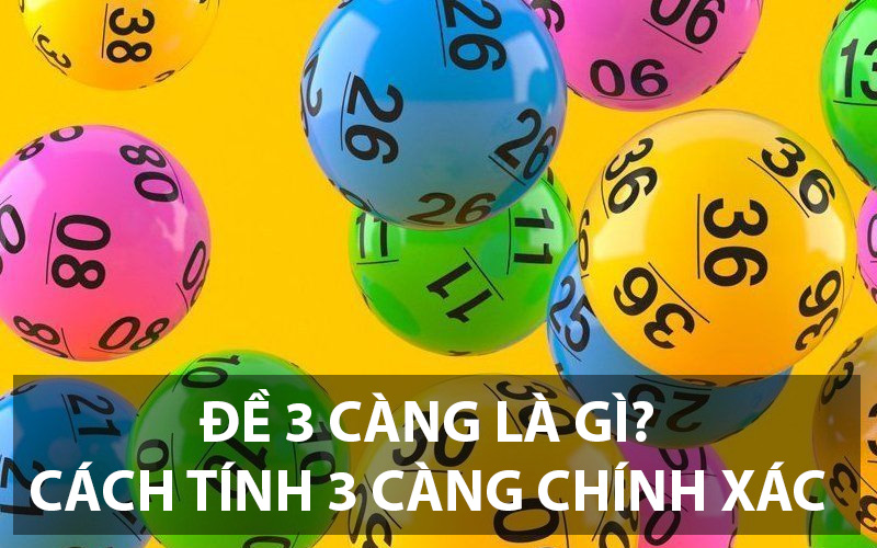 đề 3 càng là gì