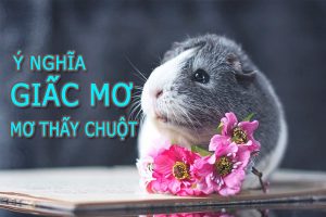 Mơ thấy chuột đánh số nào may mắn và ý nghĩa