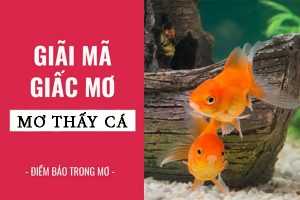 Mơ thấy cá