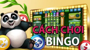 cách chơi bingo